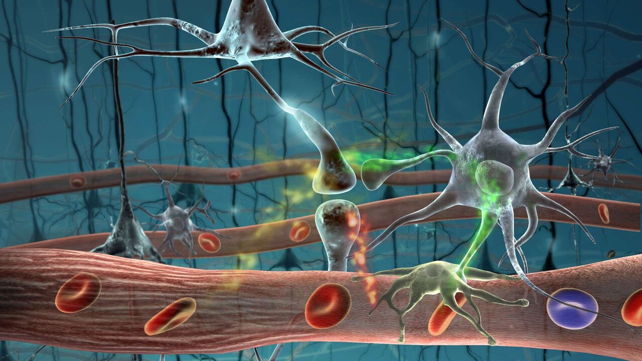 Células parasitarias no corpo humano