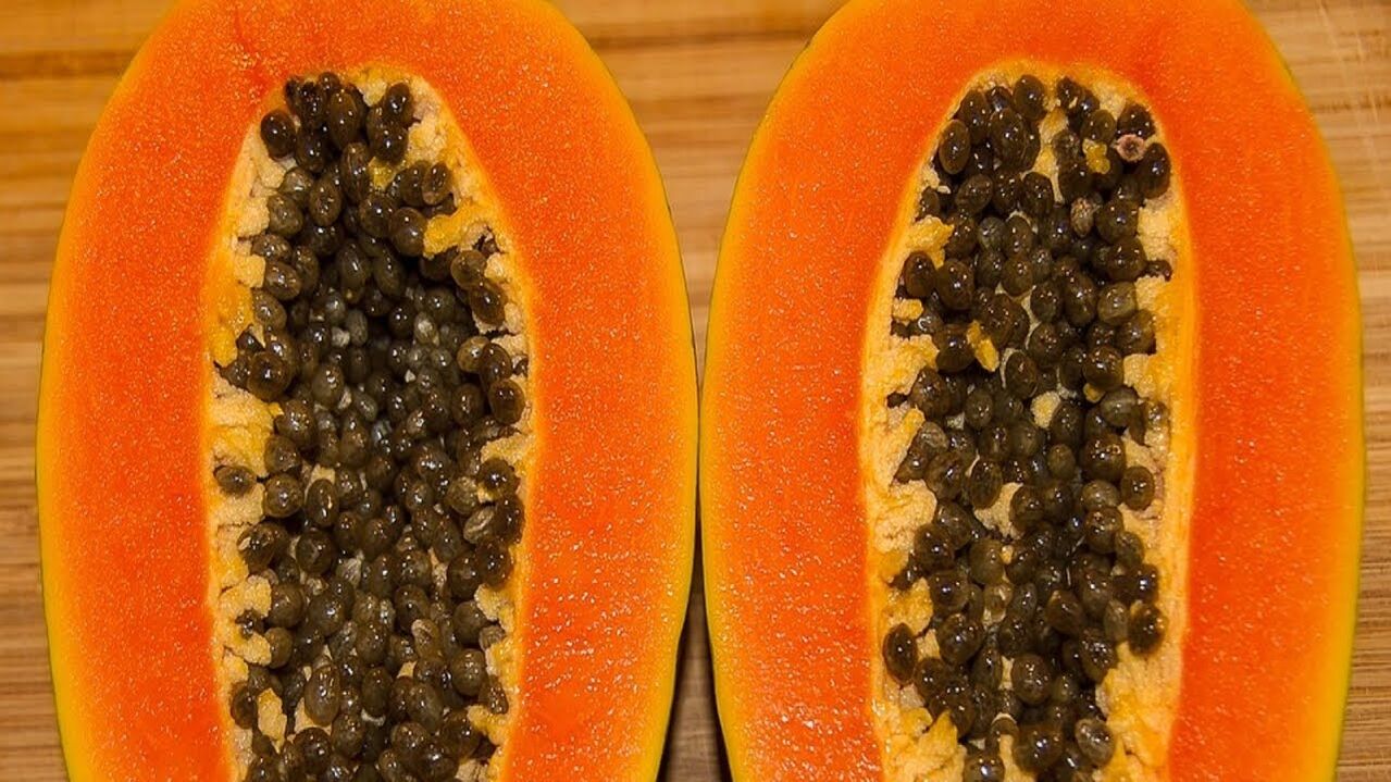 Sementes de papaia para facer vermes