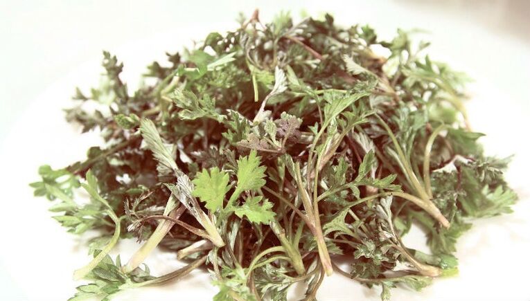 Wormwood de parasitos